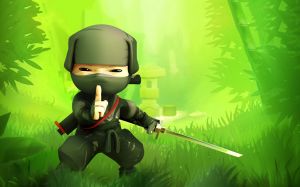 Ninja - Hyperspin - JPM GAMES.jpg