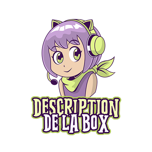 Description de la box retrogaming